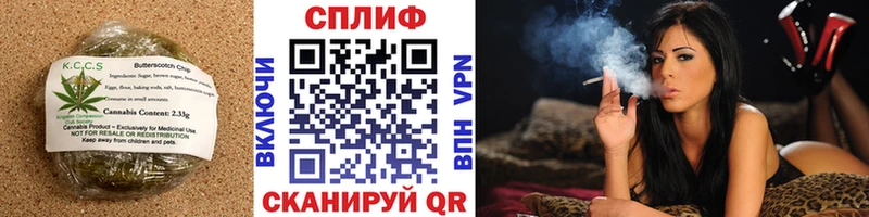 блэк спрут онион Шуя даркнет как зайти Еда ТГК конопля