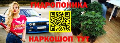 дживик Дубна