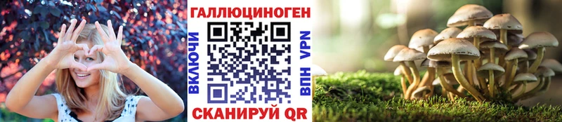 закладки  Шуя  Галлюциногенные грибы Cubensis 