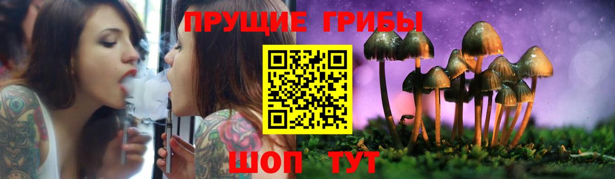 Галлюциногенные грибы мицелий  Псилоцибиновые грибы Cubensis  Шуя  Вход с VPN 