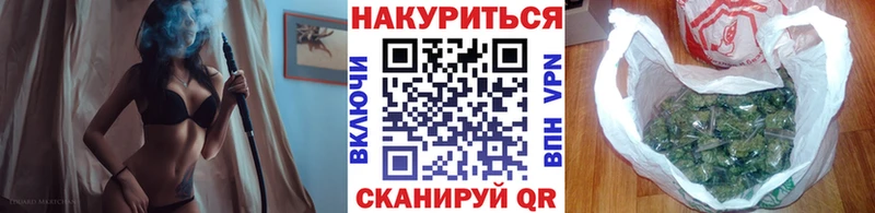 где найти   Шуя  Канабис конопля 